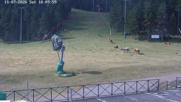Webcam Masella: Pla de Masella 1600m