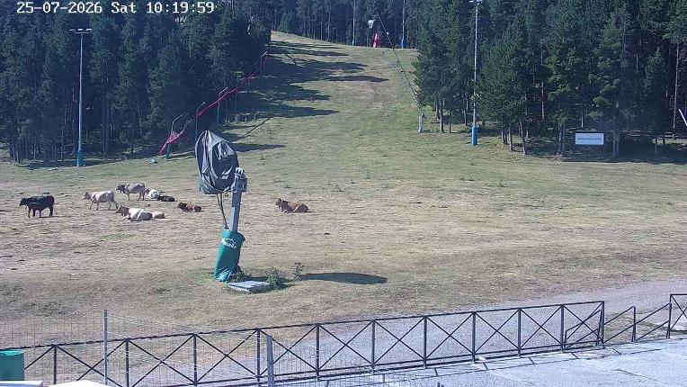 Webcam Masella: Pla de Masella 1600m