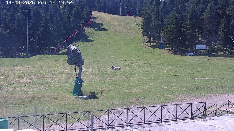 Webcam Masella: Pla de Masella 1600m
