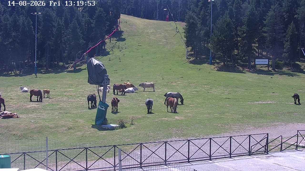 Webcam Masella: Pla de Masella 1600m