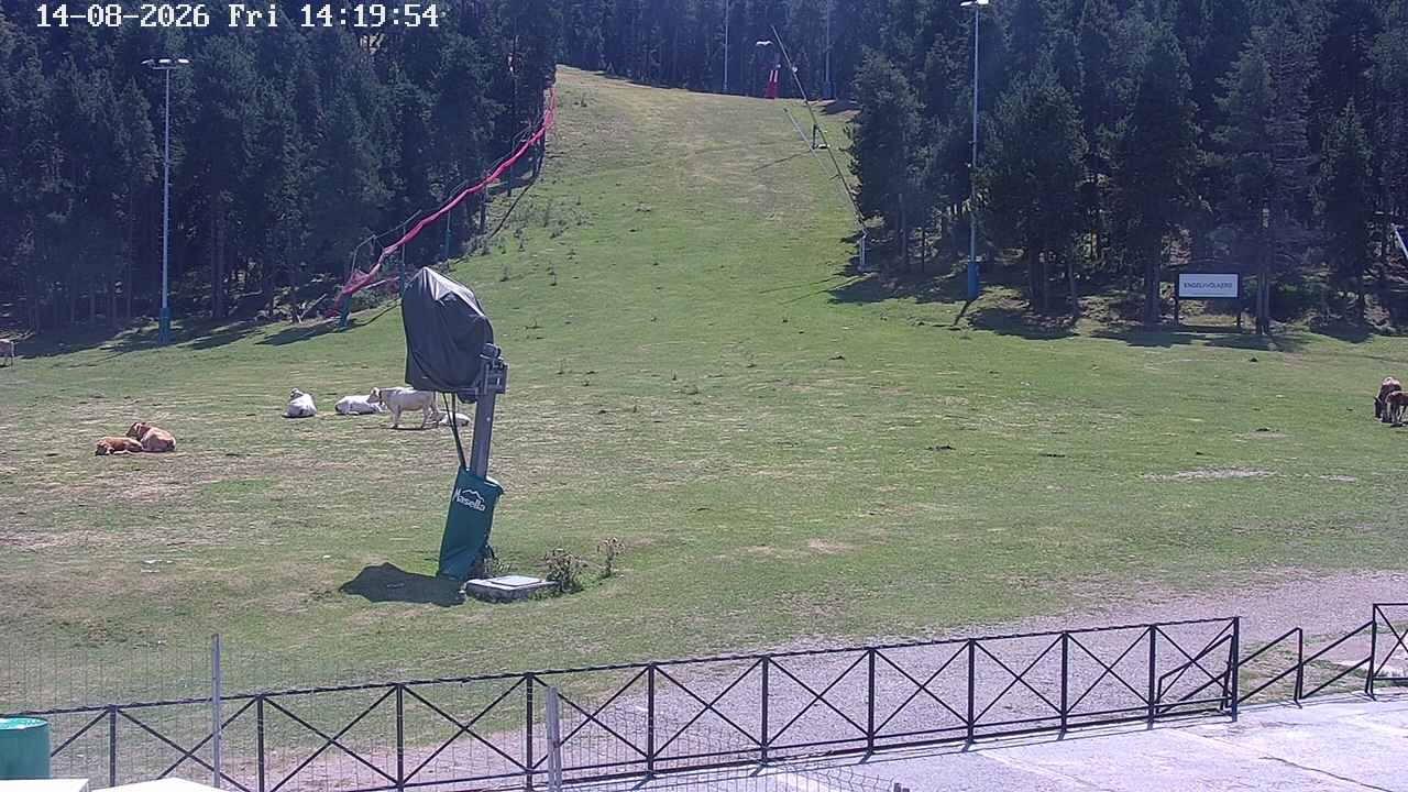 Webcam Masella: Pla de Masella 1600m