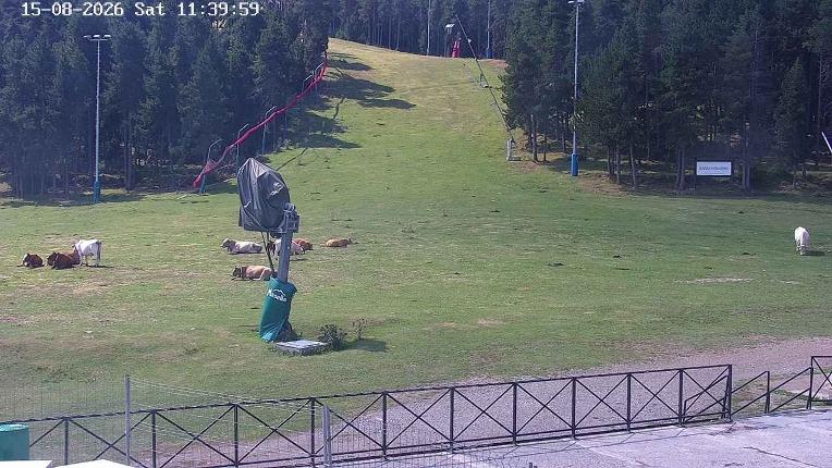 Webcam Masella: Pla de Masella 1600m