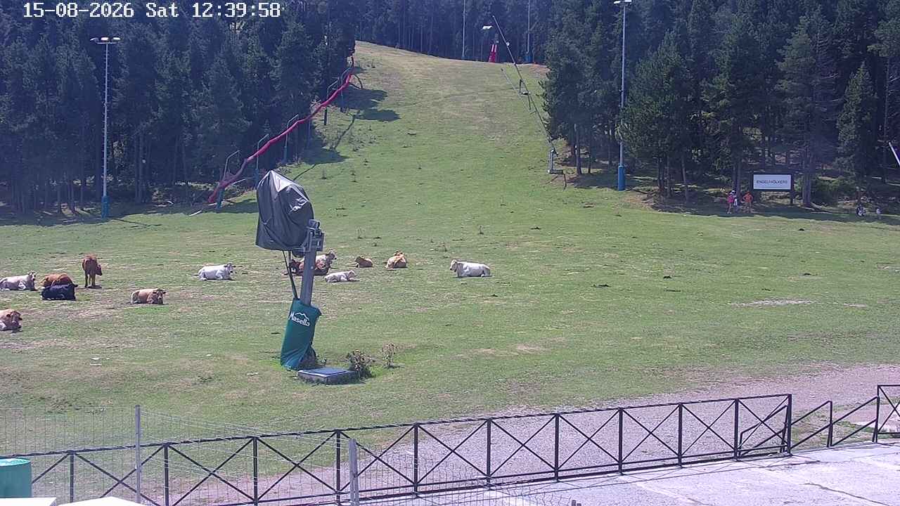 Webcam Masella: Pla de Masella 1600m