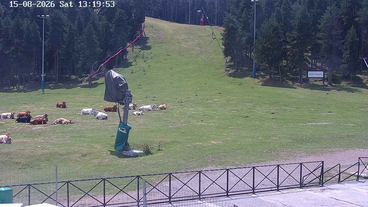Webcam Masella: Pla de Masella 1600m