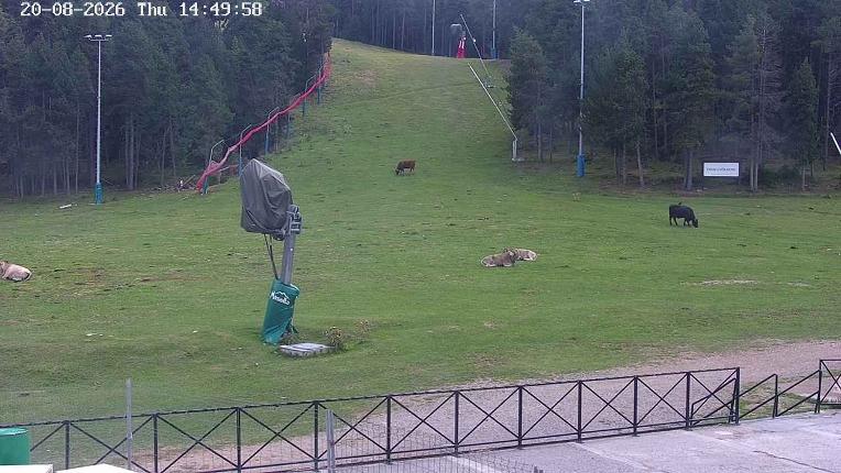 Webcam Masella: Pla de Masella 1600m