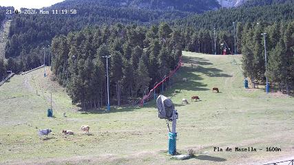 Masella webcam