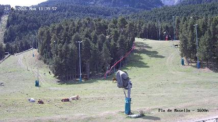 Imagem do relatório do usuário em Masella