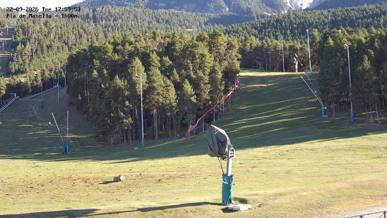 Webcam Masella: Pla de Masella 1600m