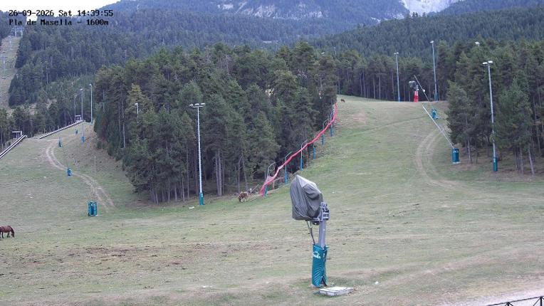 Webcam Masella: Pla de Masella 1600m