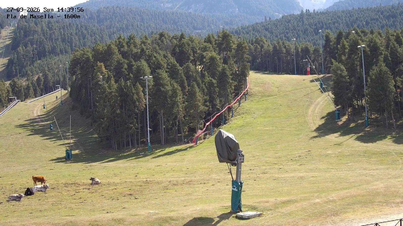 Webcam Masella: Pla de Masella 1600m