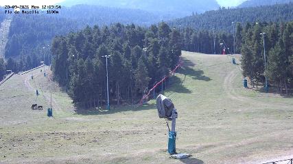 Masella: Pla de Masella 1600m (masella.com)