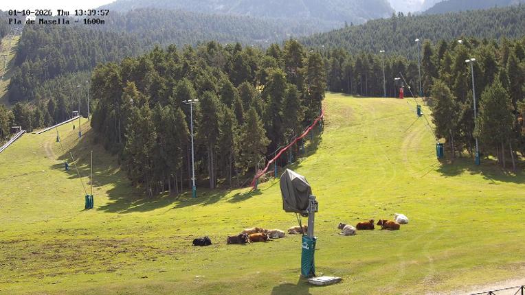 Webcam Masella: Pla de Masella 1600m
