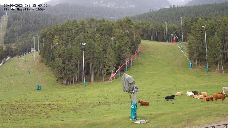 Webcam Masella: Pla de Masella 1600m