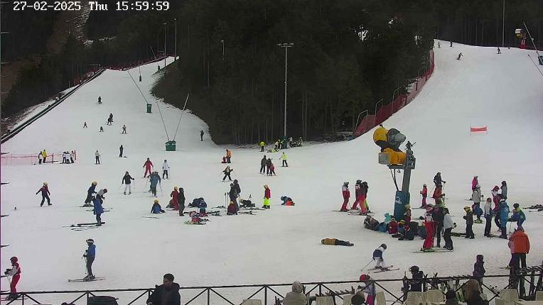 Webcam Masella: Pla de Masella 1600m