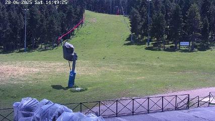 Bild des Benutzerberichts in Masella