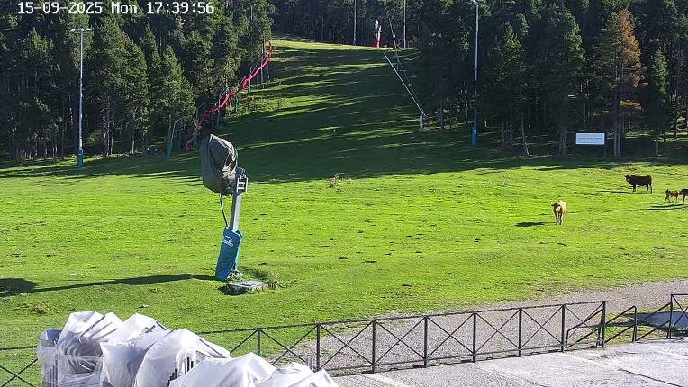 Webcam Masella: Pla de Masella 1600m