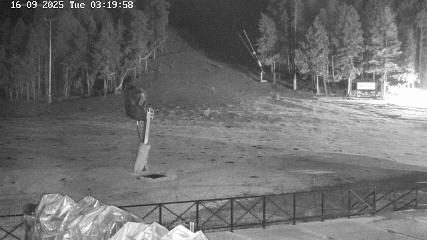 Image du rapport d'utilisateur dans Masella