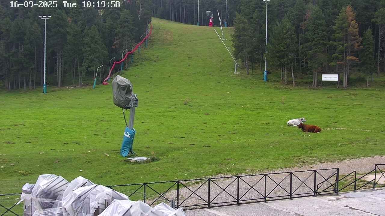 Webcam Masella: Pla de Masella 1600m