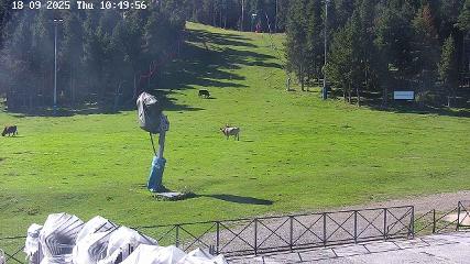 Bild des Benutzerberichts in Masella