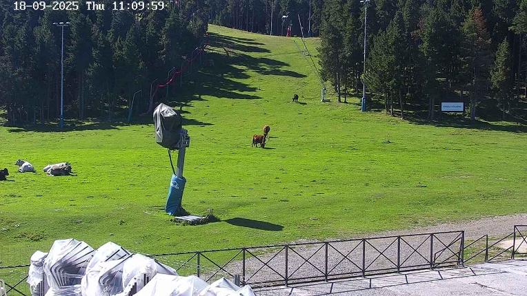 Webcam Masella: Pla de Masella 1600m
