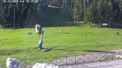 Masella webcam