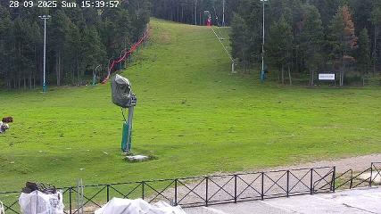 User report image in Masella