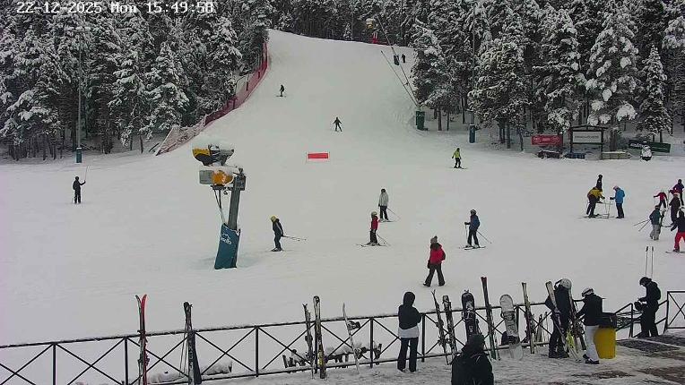 Webcam Masella: Pla de Masella 1600m