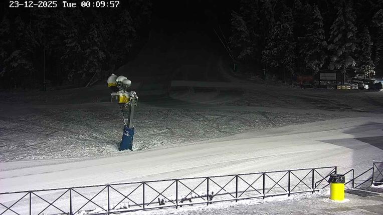 Webcam Masella: Pla de Masella 1600m