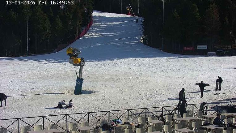 Webcam Masella: Pla de Masella 1600m
