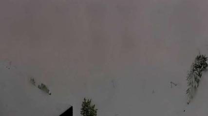 Meribel - Mottaret: Tougnète-2434m (meribel.net)