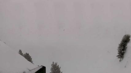 Meribel - Mottaret: Tougnète-2434m (meribel.net)