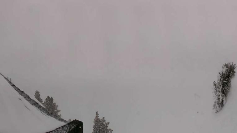 Webcam Meribel - Mottaret: Tougnète-2434m