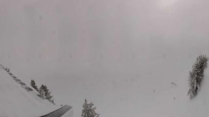 Meribel - Mottaret: Tougnète-2434m (meribel.net)