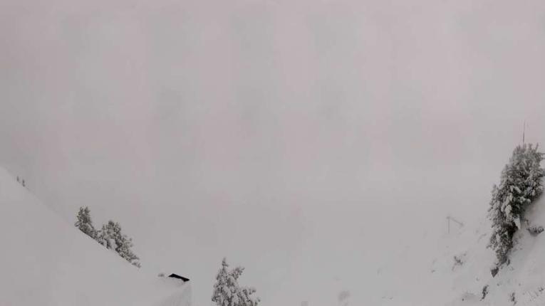 Webcam Meribel - Mottaret: Tougnète-2434m
