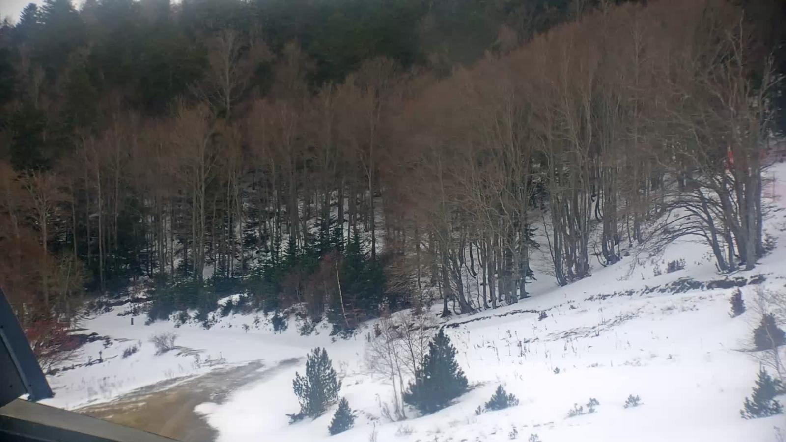 Webcam Mijanés Donezan: Depart ski de fond