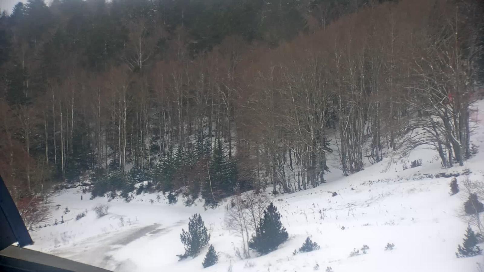 Webcam Mijanés Donezan: Depart ski de fond