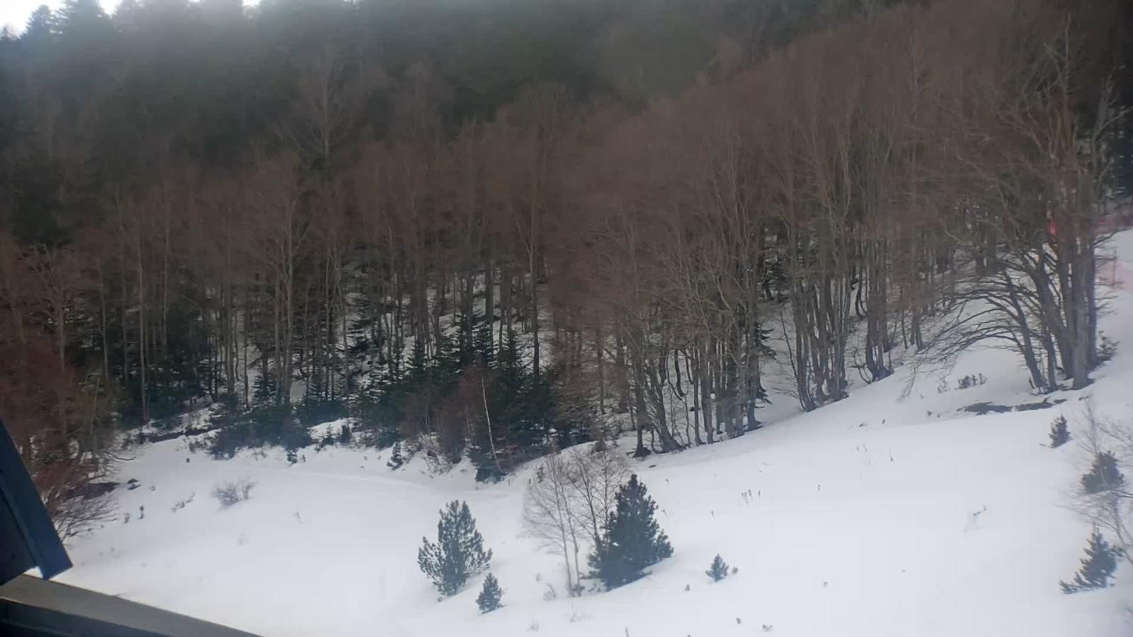 Webcam Mijanés Donezan: Depart ski de fond