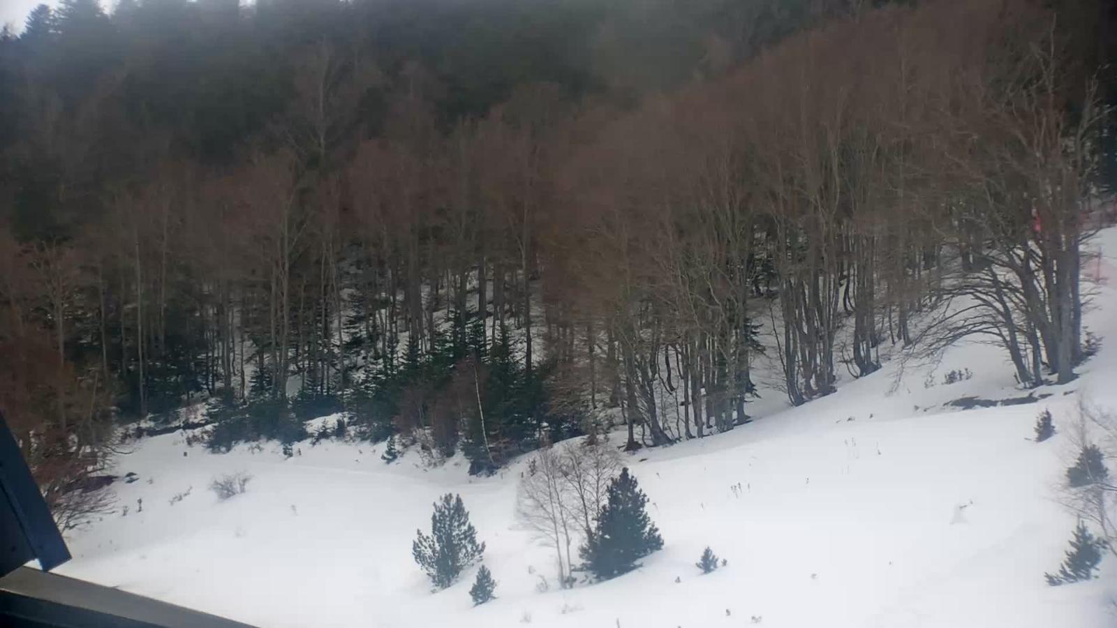 Webcam Mijanés Donezan: Depart ski de fond