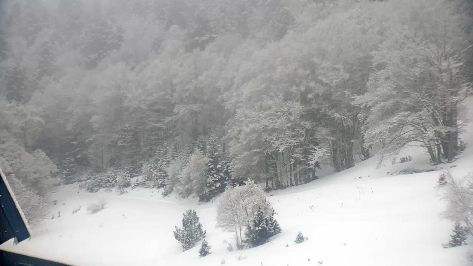 Webcam Mijanés Donezan: Depart ski de fond