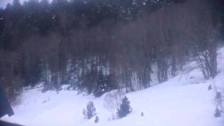 Webcam Mijanés Donezan: Depart ski de fond