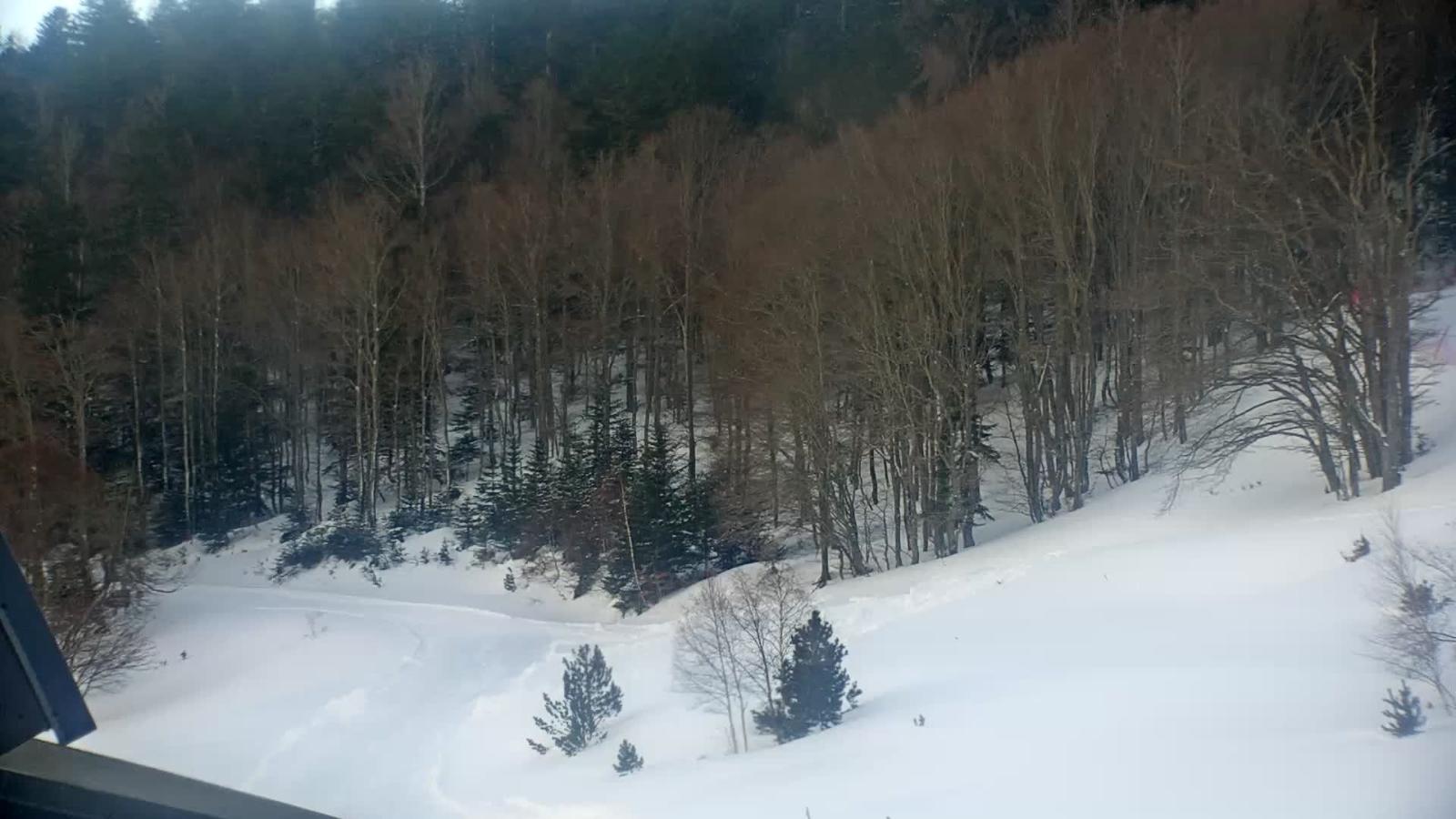 Webcam Mijanés Donezan: Depart ski de fond