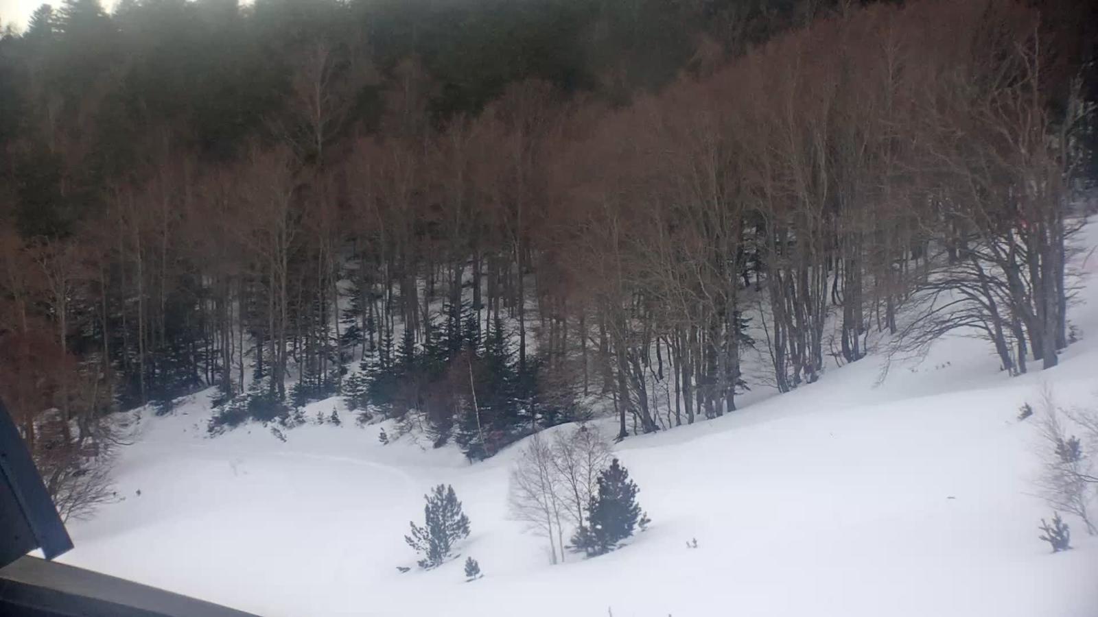 Webcam Mijanés Donezan: Depart ski de fond