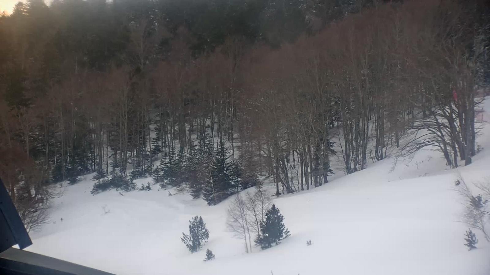 Webcam Mijanés Donezan: Depart ski de fond