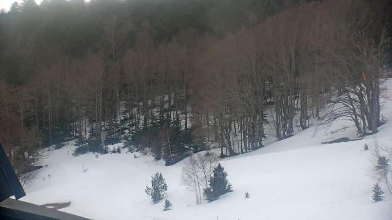 Webcam Mijanés Donezan: Depart ski de fond