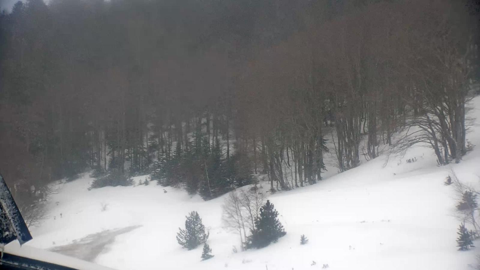 Webcam Mijanés Donezan: Depart ski de fond