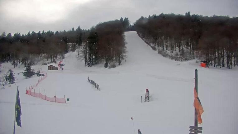 Webcam Mijanés Donezan: Pistes