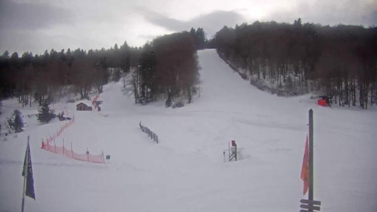 Webcam Mijanés Donezan: Pistes