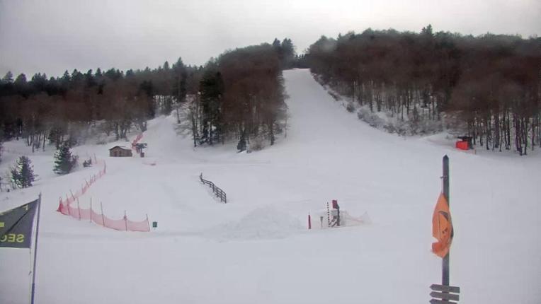 Webcam Mijanés Donezan: Pistes