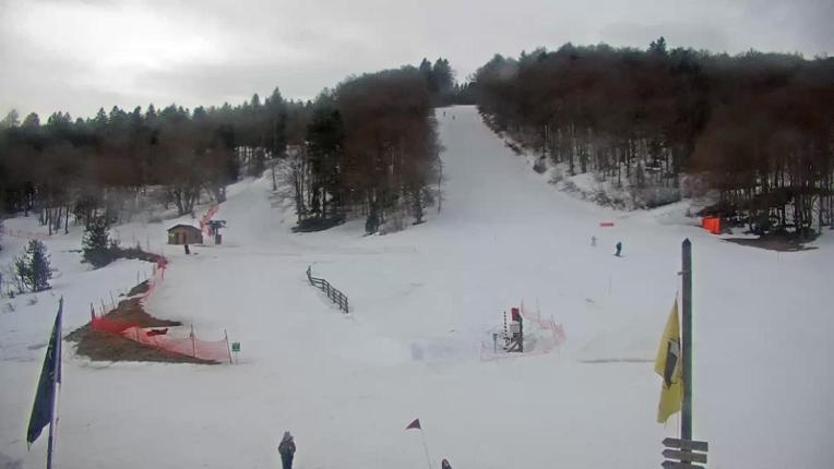 Webcam Mijanés Donezan: Pistes