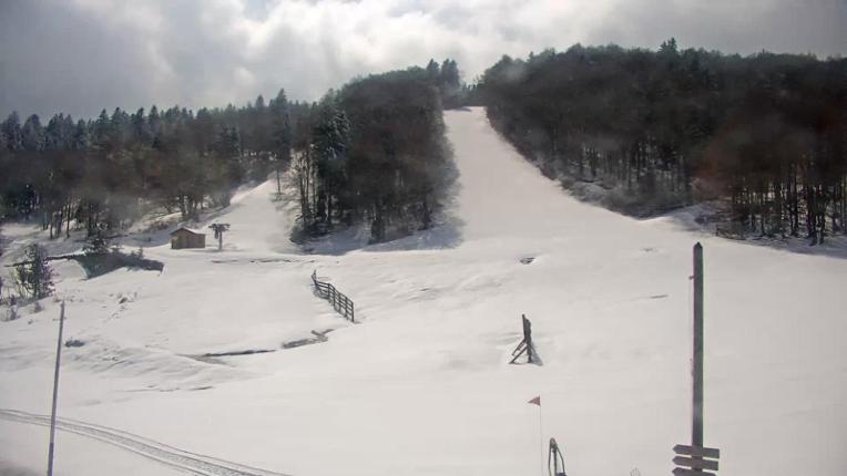 Webcam Mijanés Donezan: Pistes